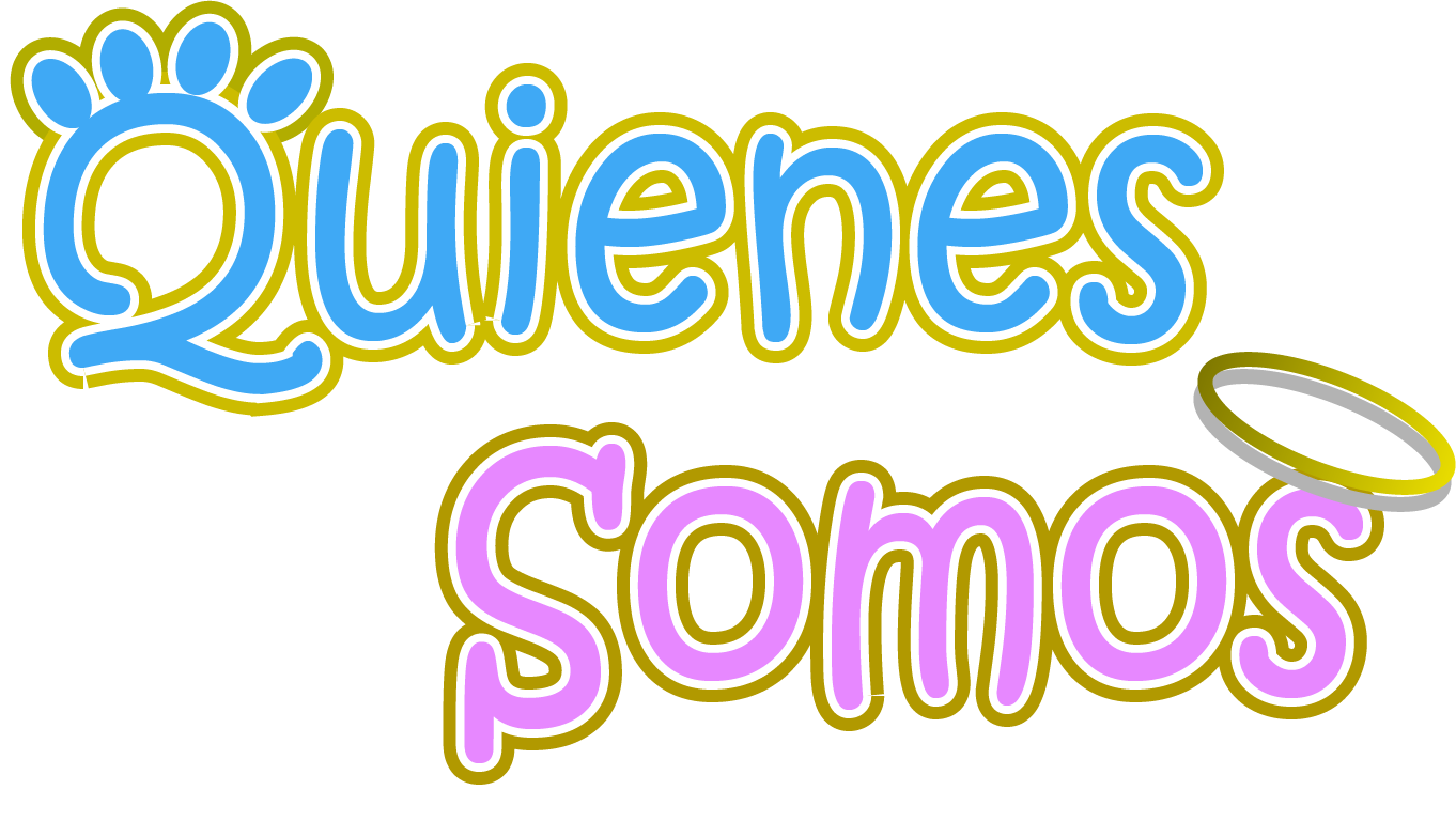 servicios